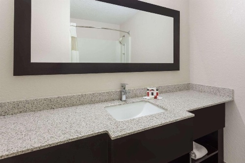 Ramada by Wyndham Asheville Southeast image 21