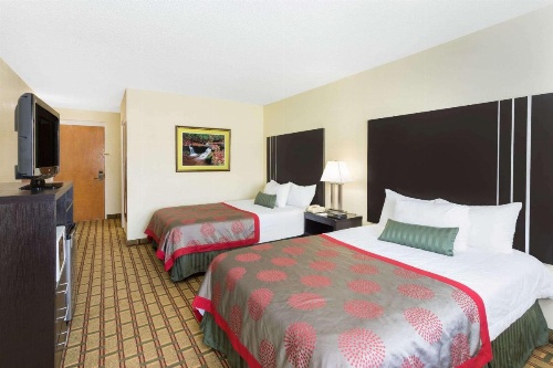 Ramada by Wyndham Asheville Southeast image 29